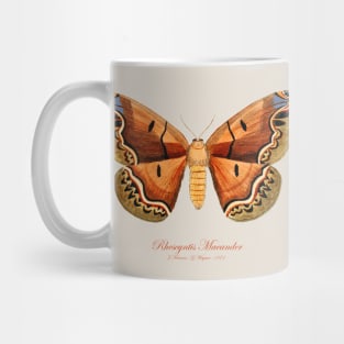Moth - Giant Silk Moth, Rhescyntis Meander or Arsenura Meander Mug